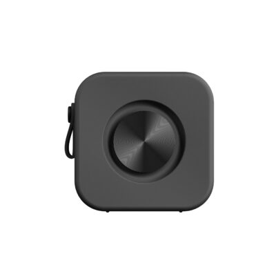 Sudio F2 Bluetooth Speaker, schwarz